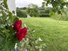 Bilde 31