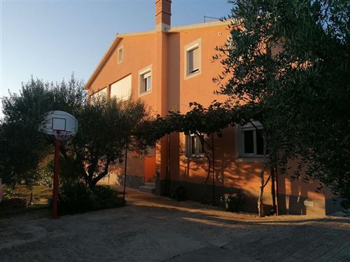 Holiday apartment - 4 persons -  - Paduljski put - 52100 - Pula