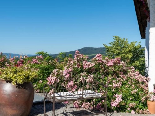 Ferienwohnung - 6 Personen -  - Blachendorf - 94256 - Drachselsried