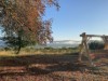Bild 22