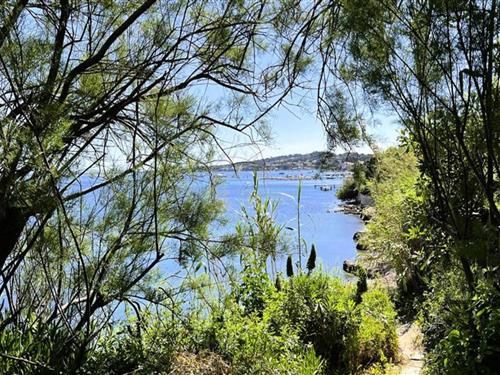 Feriehus / leilighet - 7 personer -  - 83400 - Hyeres