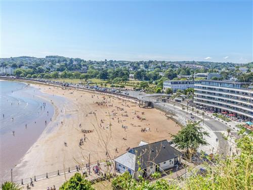 Ferieleilighet - 4 personer -  - Torquay - TQ2 5NZ