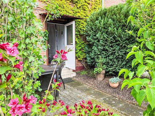 Sommerhus - 2 personer -  - Buchholz - 17209