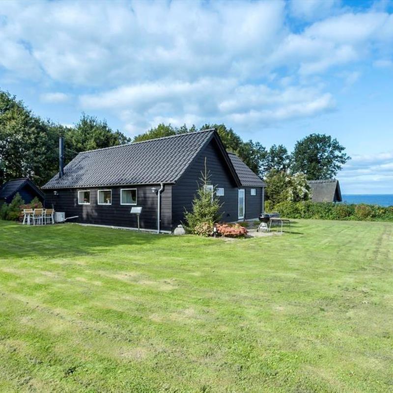 Ferienhaus - 6 Personen -  - Daadyrvænget - Baaring Ege - 5466 - Asperup