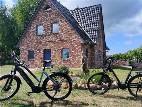 Feriecenter - 5 personer -  - Dorfstraße - 18233 - Rakow