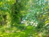 Bilde 19