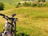 Billede 32