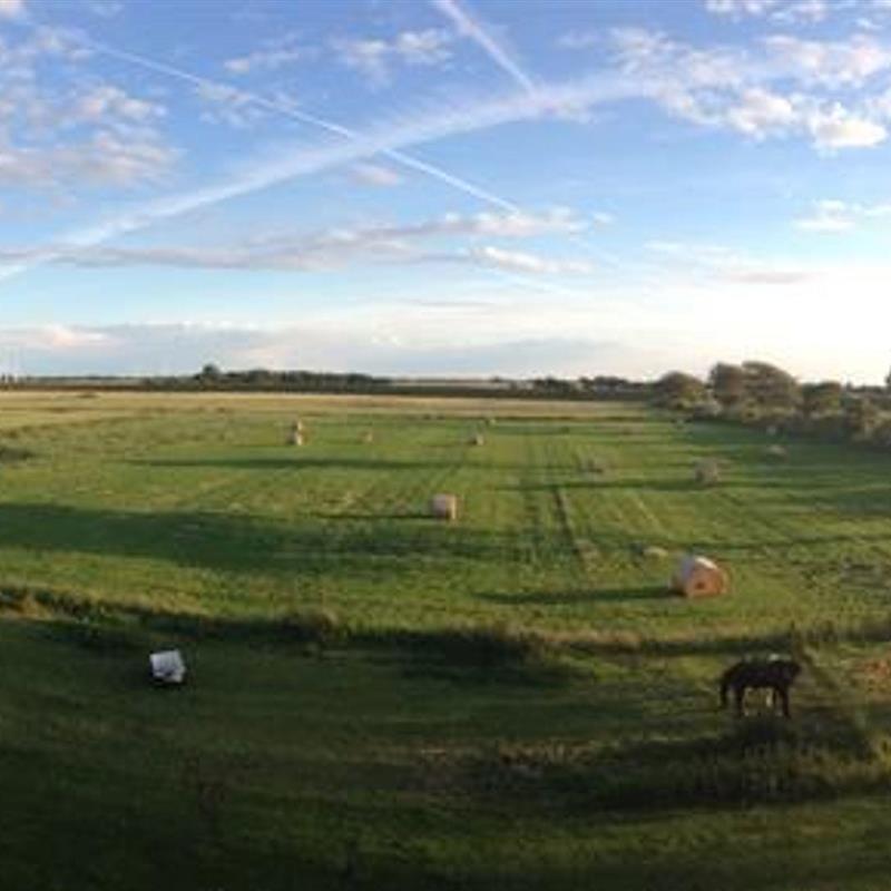 Bondegård - 4 personer -  - Deickeck - 25836 - Süderheverkoog