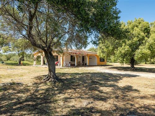 Feriehus - 4 personer -  - Località Sae Grecu snc. - 08028 - Orosei