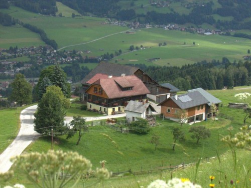 Bondgård - 6 personer -  - Petersberg - 8967 - Haus Im Ennstal