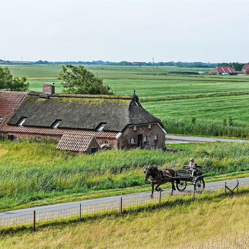 Sommerhus - 4 personer -  - Norddeich - 26506