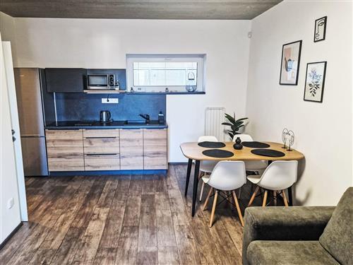 Ferieleilighet - 4 personer -  - Cerna V Posumavi - 382 23