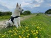 Bild 17