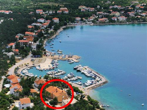 Ferielejlighed - 3 personer -  - Lokvišce - 51515 - Silo