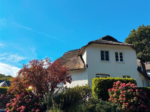 Feriehus - 3 personer -  - Paulinenallee - 24960 - Glücksburg