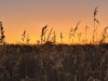 Bild 32