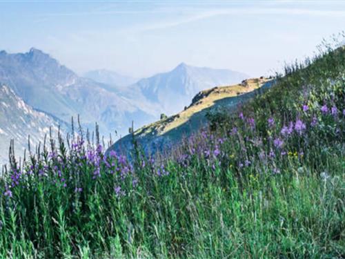 Semesterlägenhet - 12 personer -  - 73440 - Les Belleville