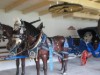 Billede 16
