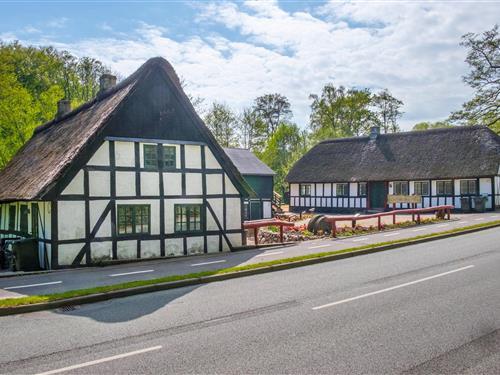 Ferienhaus - 22 Personen -  - Molsvej - Femmöller - 8400 - Ebeltoft
