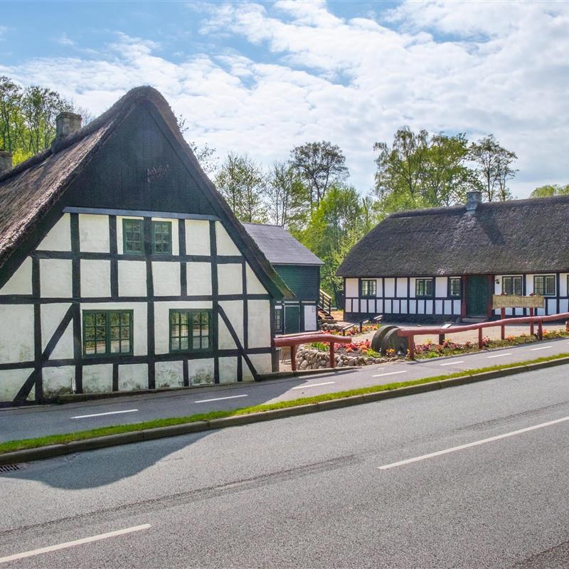 Ferienhaus - 22 Personen -  - Molsvej - Femmöller - 8400 - Ebeltoft