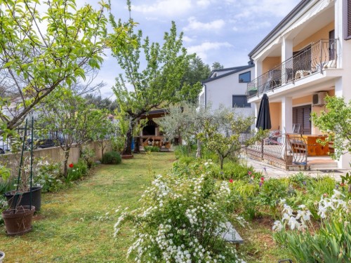 Holiday apartment - 2 persons -  - Ive Andrica - 52440 - Porec