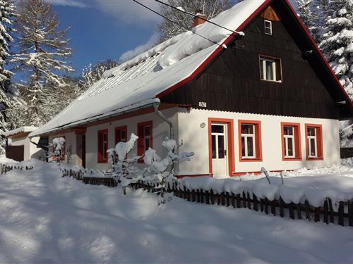 Feriehus / leilighet - 10 personer -  - 54372 - Rudnik Javornik