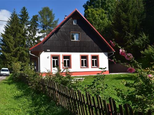 Holiday home - 10 persons -  - 54372 - Rudnik Javornik