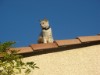 Image 28 - Outside