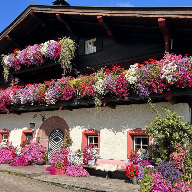 Bondegård - 5 personer -  - Uttenhofen - 5760 - Saalfelden Am Steinernen