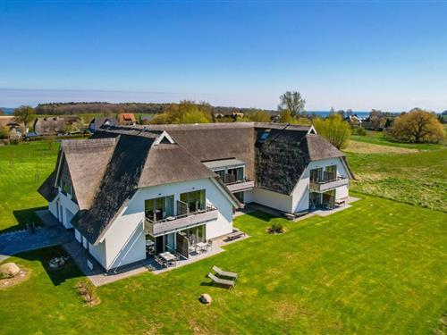 Ferieleilighet - 4 personer -  - Kastanienallee - 18581 - Wreechen