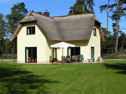 Ferienhaus - 6 Personen -  - Ahlbeck - 17419