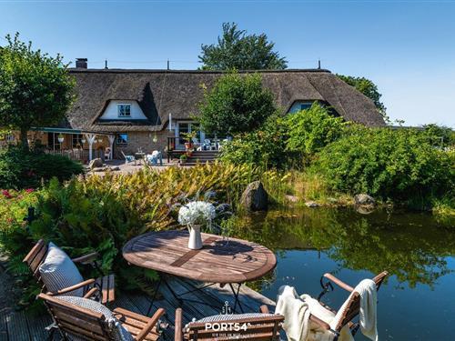 Feriehus - 12 personer -  - Hauptstraße - 25788 - Delve