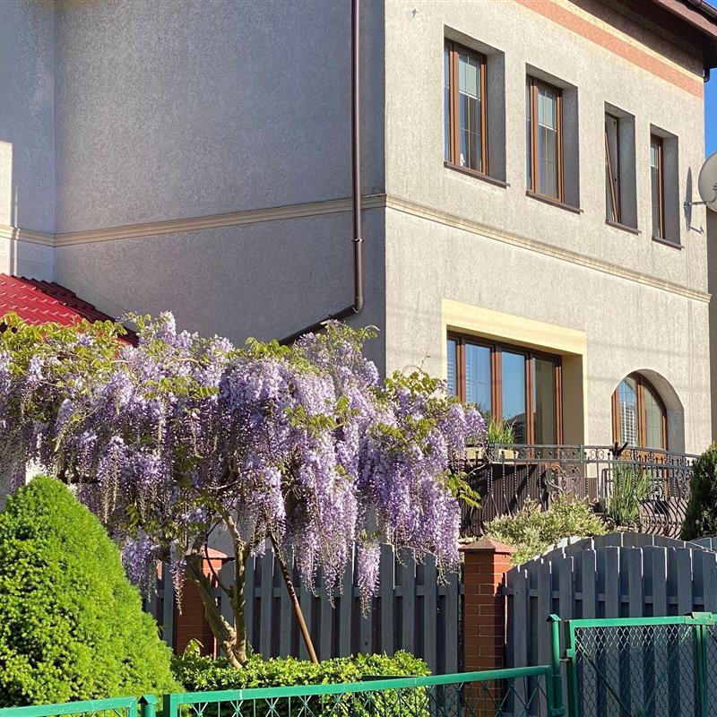 Ferielejlighed - 4 personer -  - Zeglarska - 72-600 - Swinoujscie-Swinemünde