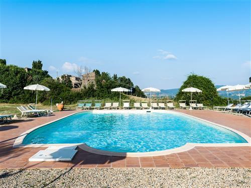 Semesterlägenhet - 4 personer -  - Pomarance - 56041