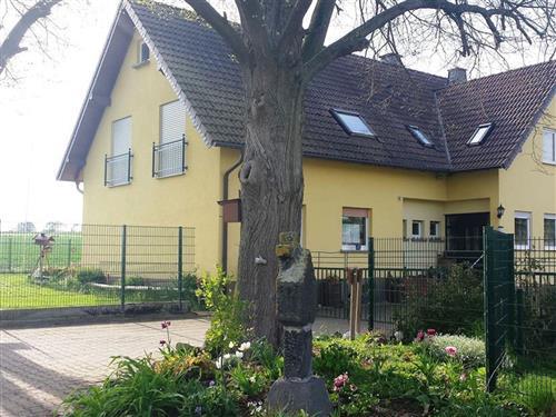 Ferienwohnung - 8 Personen -  - Birkenhof - 56294 - Gappenach