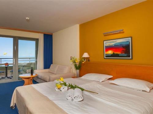 Ferielejlighed - 2 personer -  - 21330 - Gradac