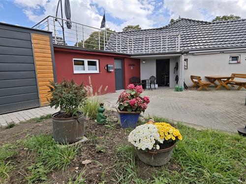 Ferielejlighed - 2 personer -  - Duisburger Straße - 47608 - Geldern