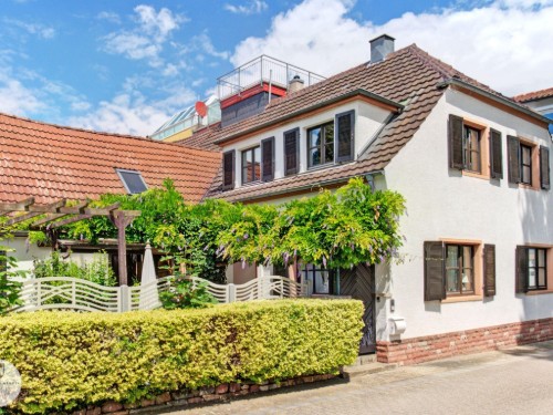 Holiday home - 6 persons -  - Weinstraße - 67157 - Wachenheim An Der Weinstr