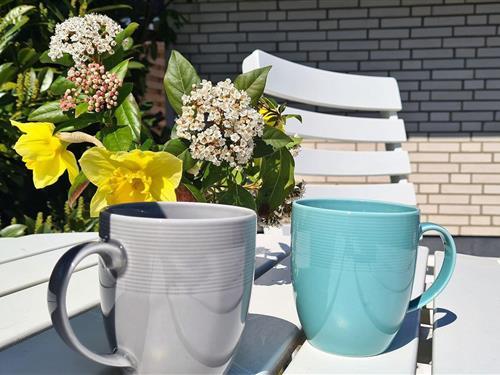 Ferielejlighed - 2 personer -  - Kiekut - 24404 - Maasholm