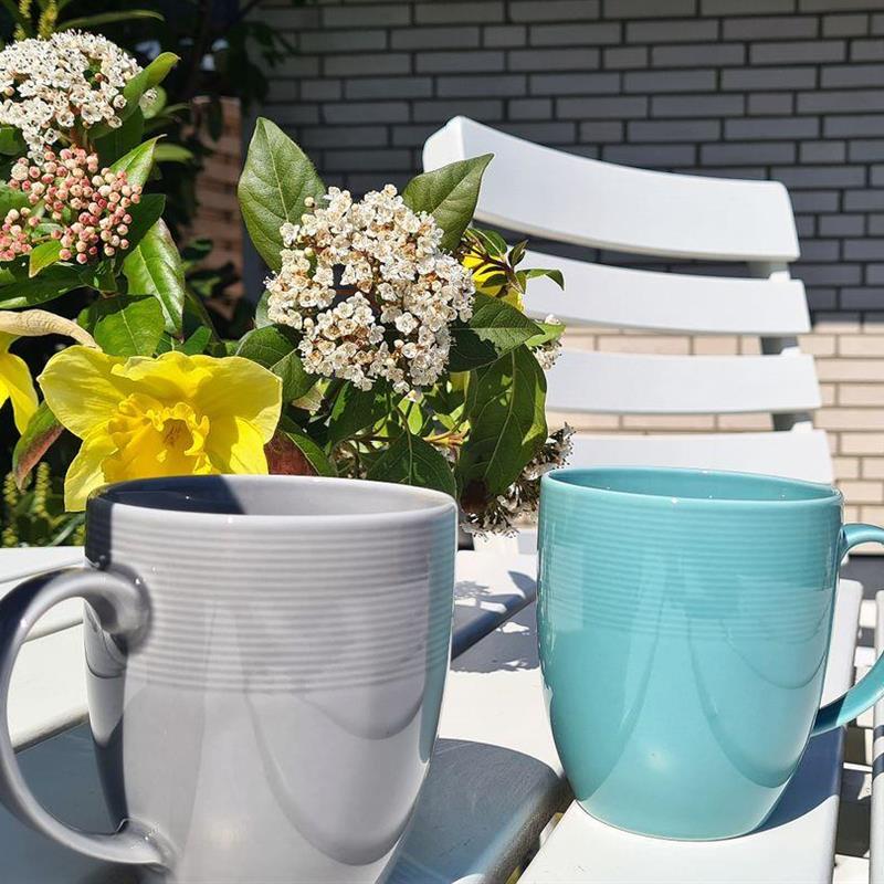 Ferielejlighed - 2 personer -  - Kiekut - 24404 - Maasholm