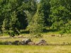Bild 22