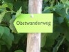 Bilde 8