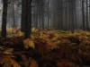 Bild 38 - Aussen