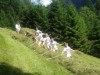 Billede 6