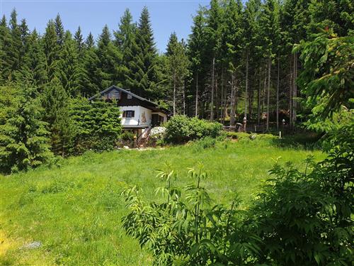 Ferielejlighed - 8 personer -  - Bad St. Leonhard Im Lavanttal - 9462