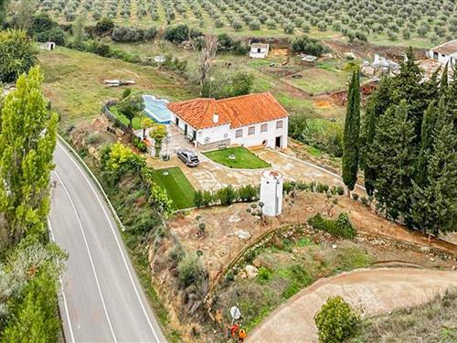 Fritidshus - 14 personer -  - ctra. SE-6102, - La Puebla De Los Infantes - 41479 - La Puebla De Los Infan