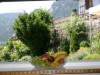 Bilde 6
