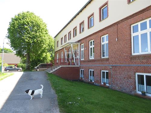 Semesterhus/Semesterlägenhet - 3 personer -  - Platz des Friedens - 18442 - Lüssow