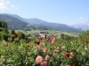 Bild 16
