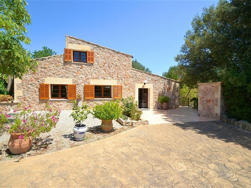 Feriehus - 3 personer -  - 07400 - Alcúdia